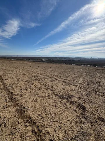 Vente Terrain Oran El Kerma 4