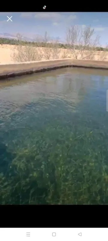 Vente Terrain Biskra Sidi okba 8