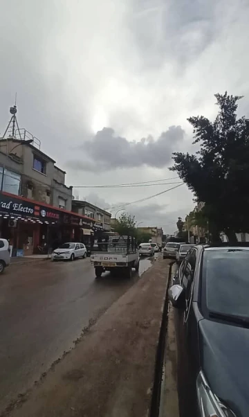 Vente Carcasse Blida Boufarik