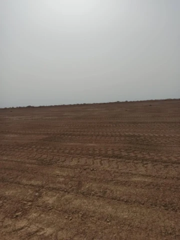 Vente Terrain Agricole Biskra Sidi okba
