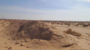 Vente Terrain Agricole Biskra Mlili 10