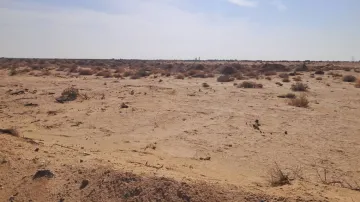Vente Terrain Agricole Biskra Mlili 9