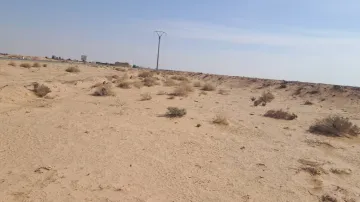 Vente Terrain Agricole Biskra Mlili 4