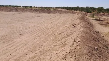 Vente Terrain Agricole Biskra Sidi okba 5