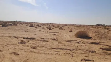 Vente Terrain Agricole Biskra Mlili 8