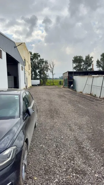 Location Hangar Blida Beni tamou 9