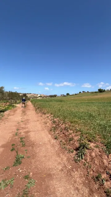 Vente Terrain Agricole Tlemcen Nedroma 3