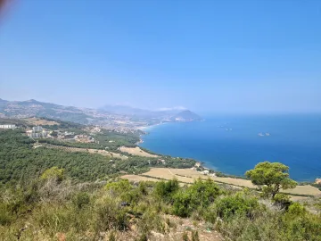Location Bungalow Chlef Sidi abderrahmane 7