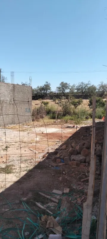 Vente Terrain Tlemcen Tlemcen 9