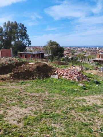 Vente Terrain Blida Ouled selama 14