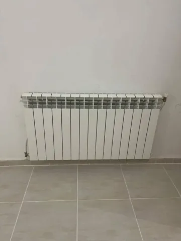 Location Appartement F4 Alger Mahelma 8