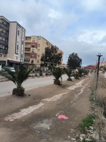 Location Local Médéa Berrouaghia 5