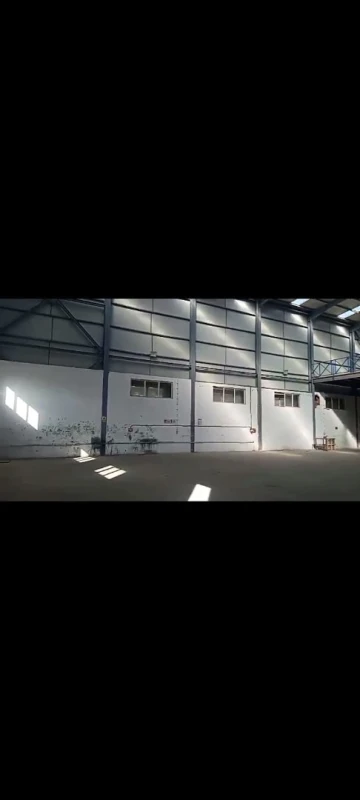 Location Hangar Blida Beni tamou