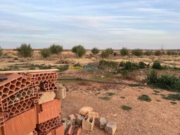 Vente Terrain Laghouat El assafia