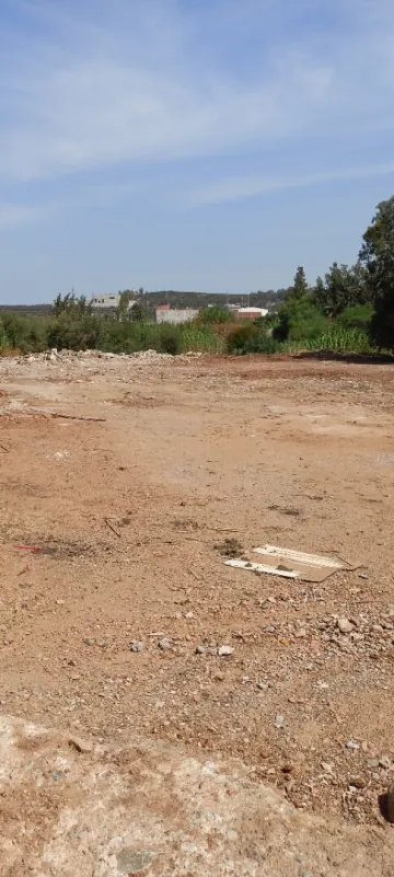 Vente Terrain Boumerdès Tidjelabine 4