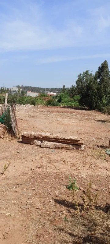 Vente Terrain Boumerdès Tidjelabine 6