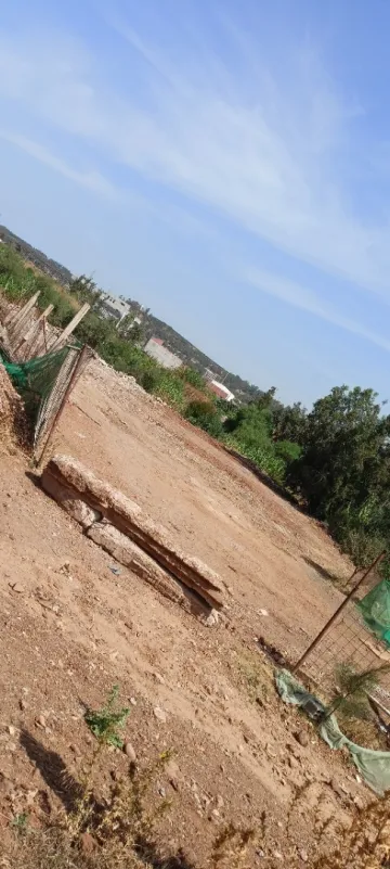 Vente Terrain Boumerdès Tidjelabine 7