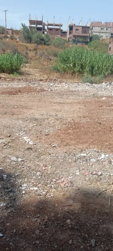Vente Terrain Boumerdès Tidjelabine