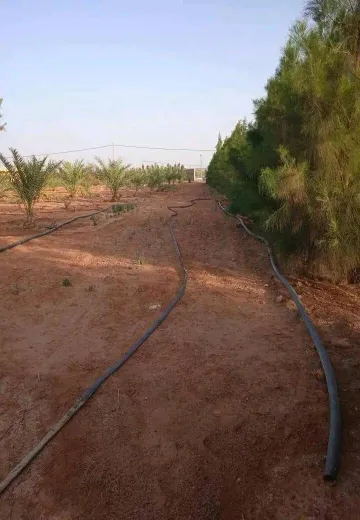 Vente Terrain Agricole Béchar Lahmar 8