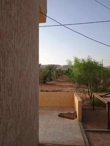 Vente Terrain Agricole Béchar Lahmar 5