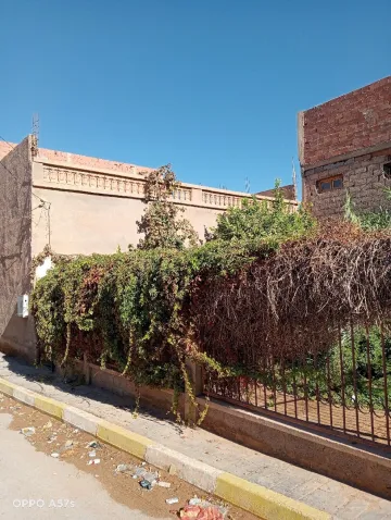 Vente Appartement Penthouse F3 Béchar Bechar