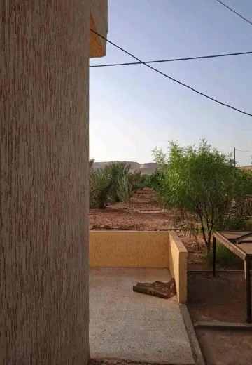 Vente Terrain Agricole Béchar Lahmar 7
