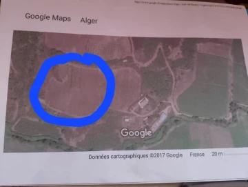 Vente Terrain Agricole Boumerdès Sidi daoud 2