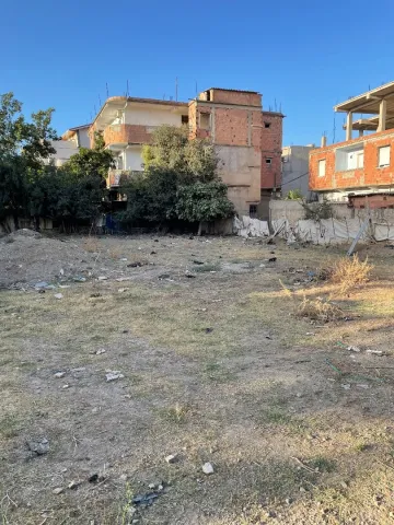 Vente Terrain Blida Soumaa 8