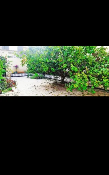 Vente Villa Oran Oran 12