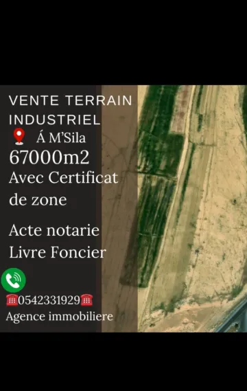 Vente Terrain M'Sila Msila