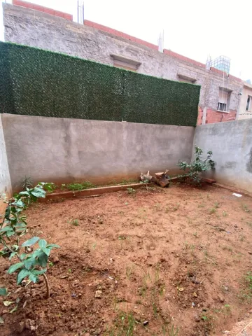 Vente Carcasse Alger Saoula 46