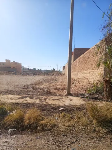 Vente Terrain Laghouat Laghouat 2