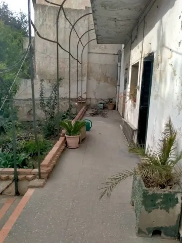 Vente Villa Alger El madania 7