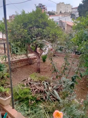 Vente Villa Alger El madania 15