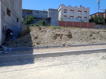 Vente Terrain Blida Bouinan 8