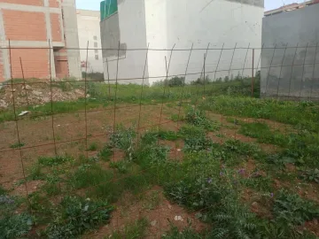 Vente Terrain Boumerdès Ouled hedadj