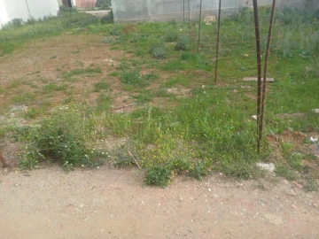 Vente Terrain Boumerdès Ouled hedadj 2