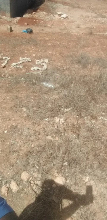 Vente Terrain Tlemcen Msirda fouaga 5