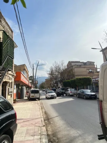 Location Villa Blida Larbaa 4