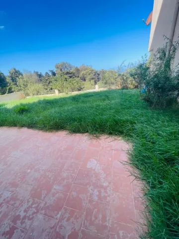 Vente Duplex F7 Alger Bouzareah 17