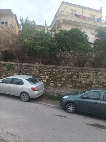 Vente Terrain Alger Bouzareah