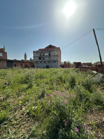 Vente Alger Ouled chebel 4