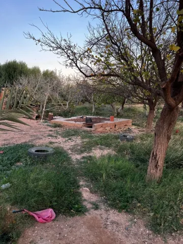 Vente Terrain Agricole Laghouat Laghouat 9