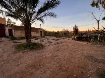 Vente Terrain Agricole Laghouat Laghouat 8