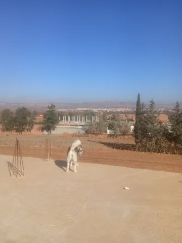 Vente Terrain Médéa Beni slimane 20