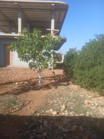 Vente Terrain Médéa Beni slimane 28
