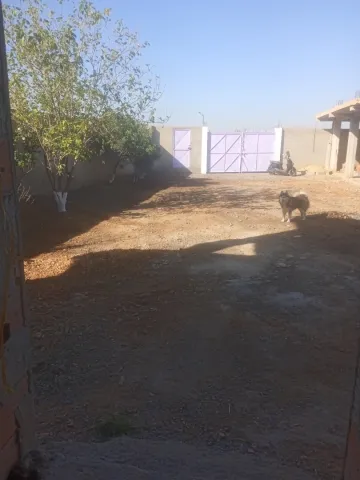 Vente Terrain Médéa Beni slimane 32