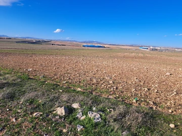 Vente Terrain Sétif Guidjel 7