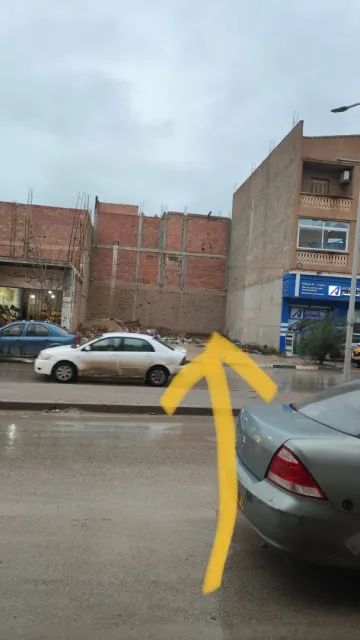 Vente Terrain Djelfa Djelfa 3