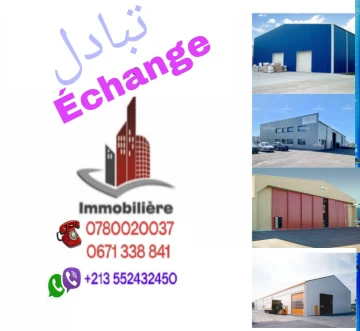 Echange Hangar Alger Alger centre 2